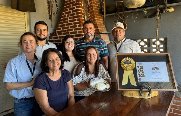 Queijo porungo brasileiro ganha medalha de ouro em competição mundial