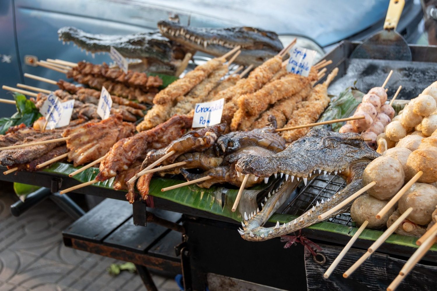 Carnes exóticas: Conheça algumas