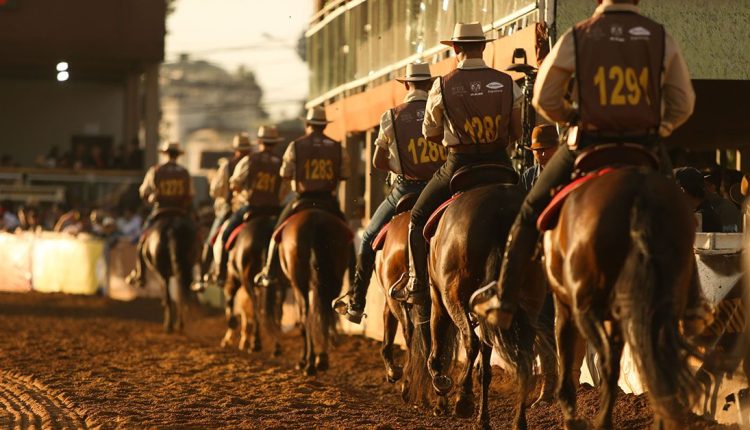 Começou a 41ª Exposição Nacional do Mangalarga Marchador 