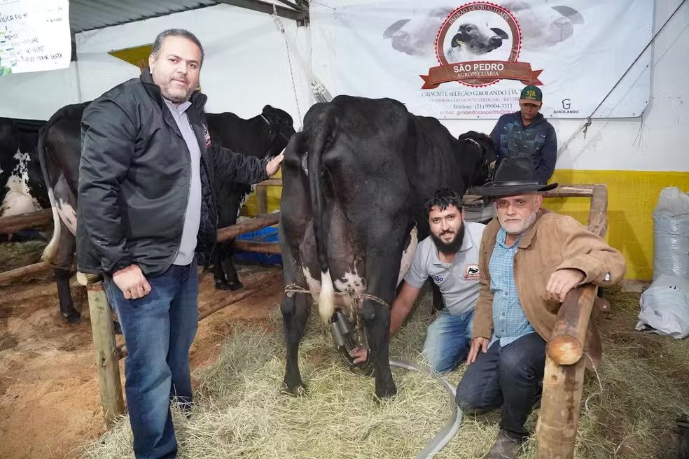 ‘vaca raiz’ que produziu 103 kg de leite