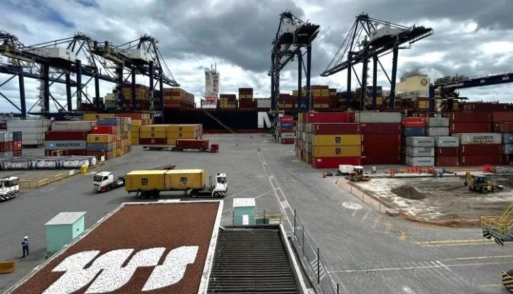 Cotonicultores celebram novo rumo: Rota de exportação Bahia-Ásia