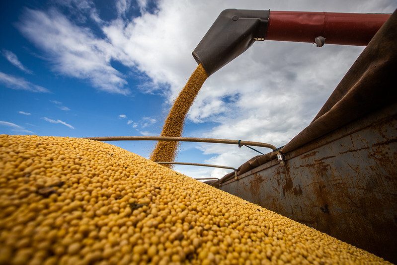 As maiores exportações agrícolas do Brasil