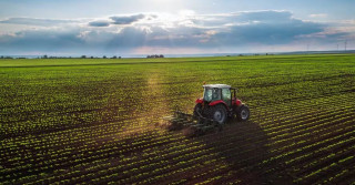 Como a plantabilidade influencia na safra