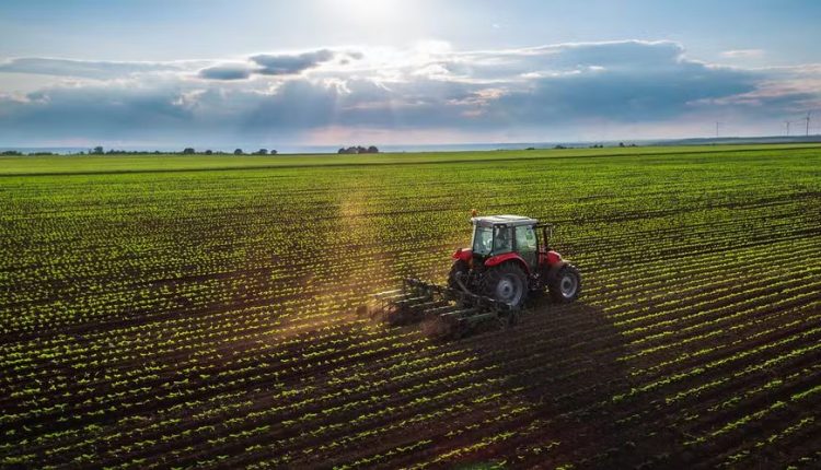 Como a plantabilidade influencia na safra