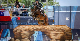 Cavalos de hipismo: Como animais de milhões ganham seguros de luxo