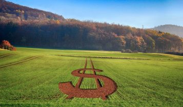 Fiagros crédito rural