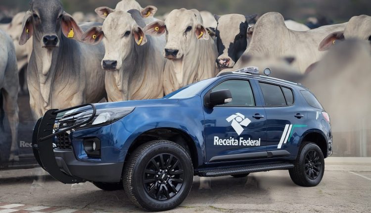 operacao rei do gado - receita federal