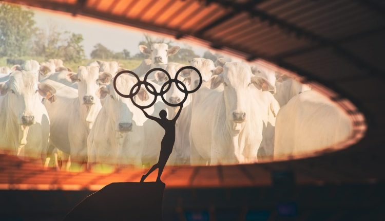 pecuaria de corte no mundo - olimpiadas paris 2024