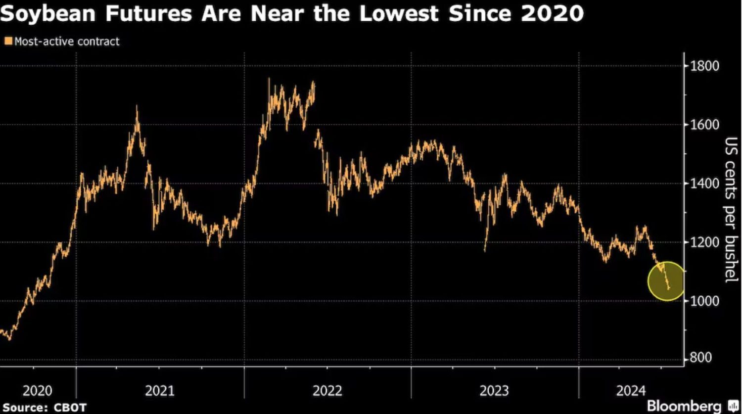 Futuros de soja estão no menor patamar desde 2020(CBOT)