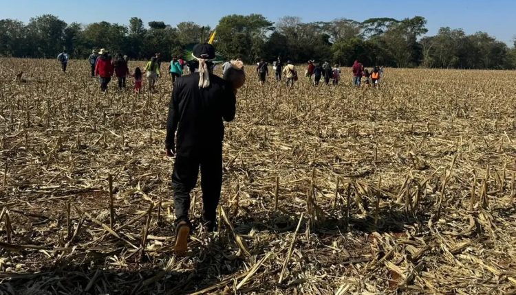 Justiça impede Funai de distribuir lona a indígenas de ocupação no PR