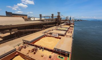 4% a mais: exportações dos portos do Paraná batem 16,8 mil toneladas nos 5 primeiros meses; Soja