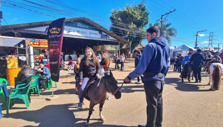 Os pequenos e fofos pôneis e os rústicos e resistentes cavalos crioulos são atrações na Expointer