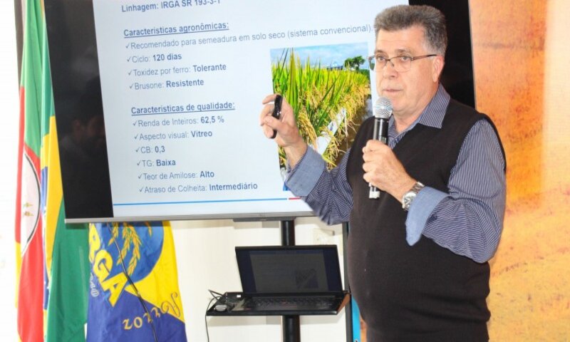 Irga lança cultivar 432 na Expointer