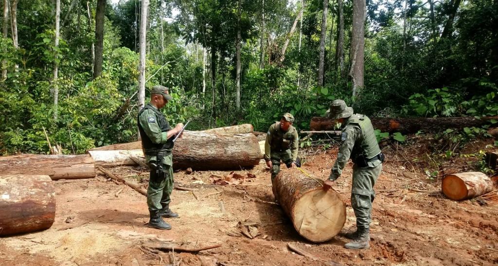 Apreensoes de maquinas no combate a invasoes de terras aumenta 134 no mato grosso 1 madeira desmatamento