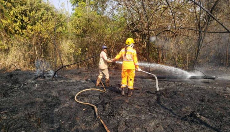 Bombeiros atuam em incêndio florestal de grandes proporções em MG; Veja vídeo