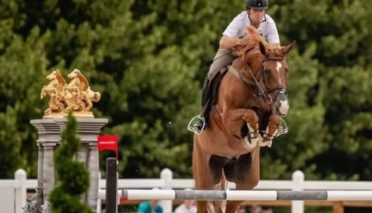 Pedro Veniss eliminado do hipismo nas Olimpiadas de Paris