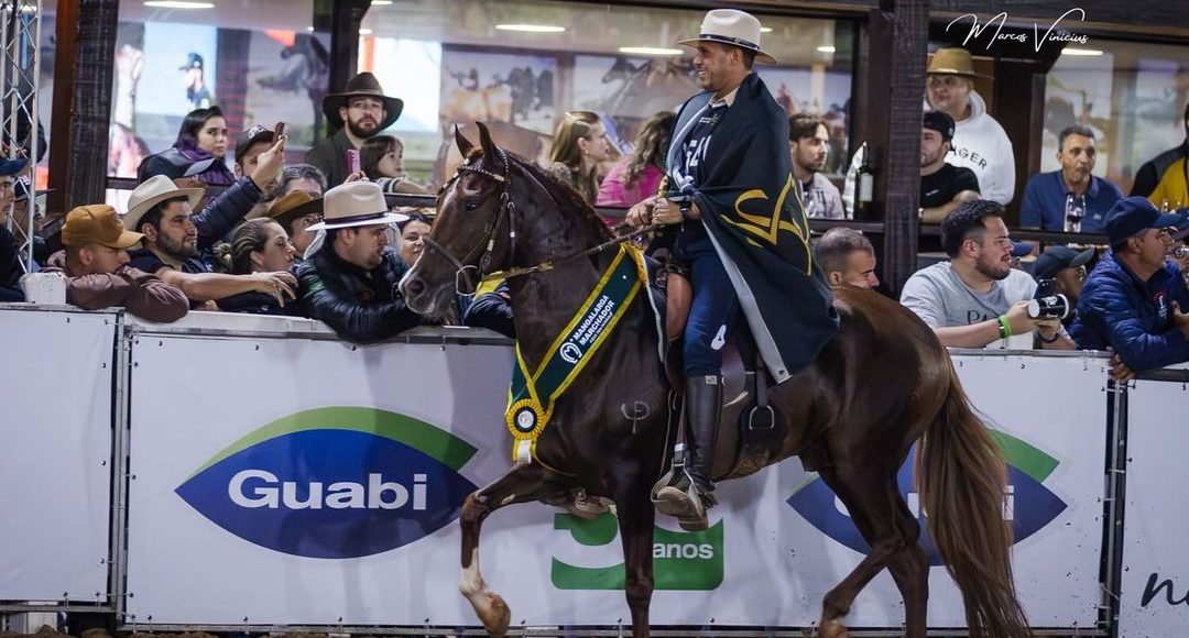 Campeões da 41ª Exposição Nacional do Cavalo Mangalarga Marchador