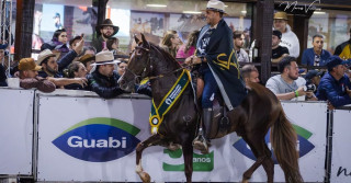 Campeões da 41ª Exposição Nacional do Cavalo Mangalarga Marchador