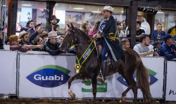 Campeões da 41ª Exposição Nacional do Cavalo Mangalarga Marchador