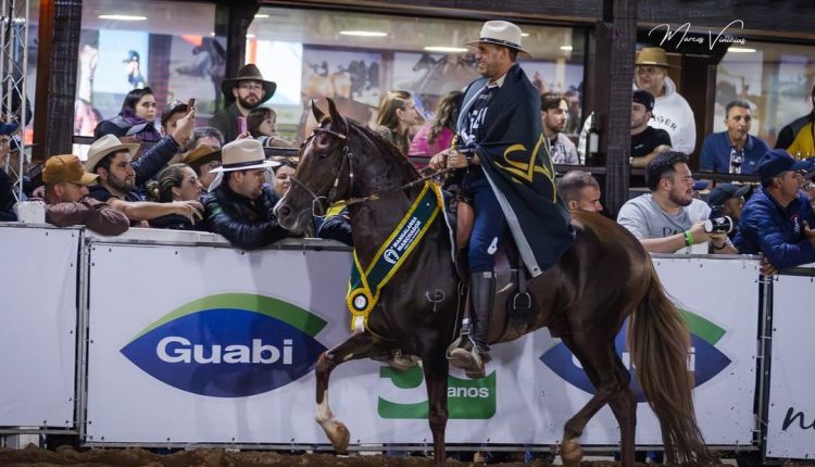 Campeões da 41ª Exposição Nacional do Cavalo Mangalarga Marchador