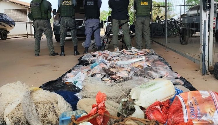 Polícia apreende quase 150 quilos de pescado e carne de jacaré em MT