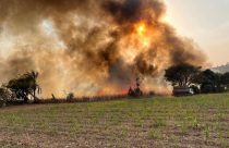 Faesp mobiliza ações para avaliar e mitigar danos dos incêndios em propriedades rurais em SP