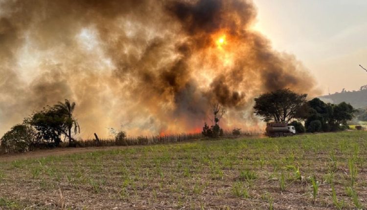 Faesp mobiliza ações para avaliar e mitigar danos dos incêndios em propriedades rurais em SP