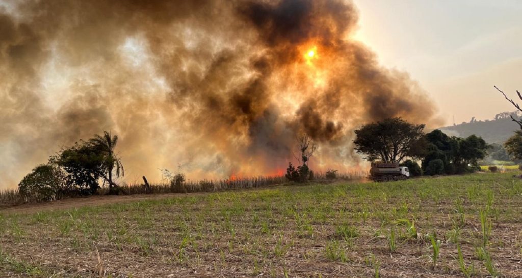 Paraná bate recorde de incêndios rurais