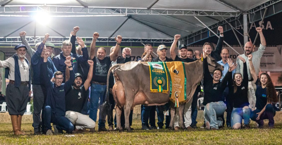 Nanda Celebrity Aviostoso, a vaca do expositor Carlos Jacob Wallauer (Salvador do Sul-RS), sagrou-se Suprema Campeã do Gado de Leite da Expointer 2024