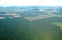 Iniciativa vai selecionar negócios da sociobiodiversidade amazônica