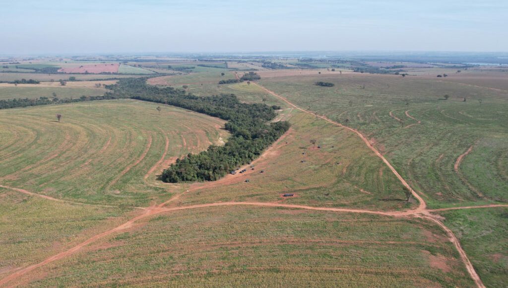 area invadida por indigenas na Fazenda Brilhante - em Terra Roxa