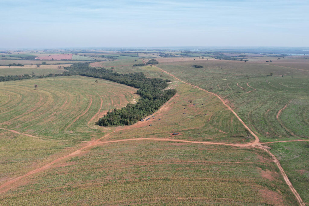 area invadida por indigenas na Fazenda Brilhante - em Terra Roxa