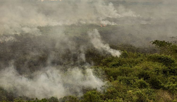 Rondônia declara situação de emergência por incêndios florestais