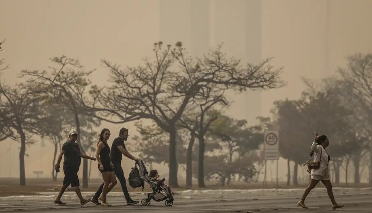 Confira as orientações para amenizar efeitos da fumaça na saúde