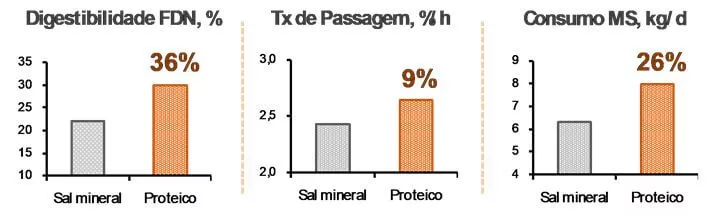 Como e por que utilizar proteinados durante o período de seca