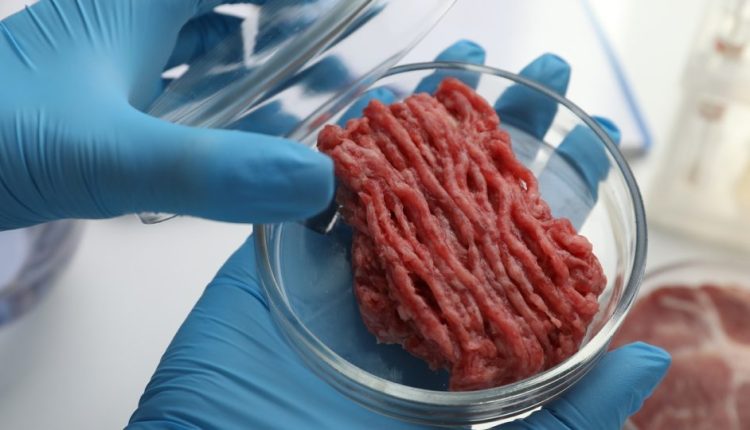 Carne cultivada está cada vez mais com gosto de carne; como fazem isso?