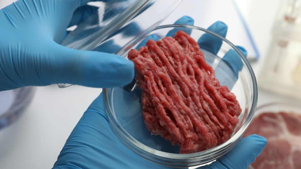 Carne cultivada está cada vez mais com gosto de carne; como fazem isso?