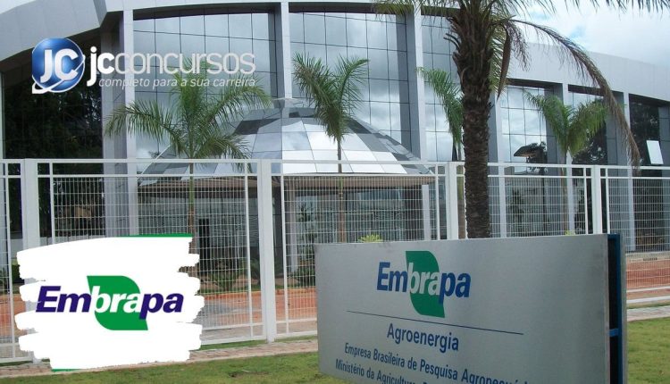 Concurso Embrapa: edital com 1.033 vagas deve sair já nos próximos dias