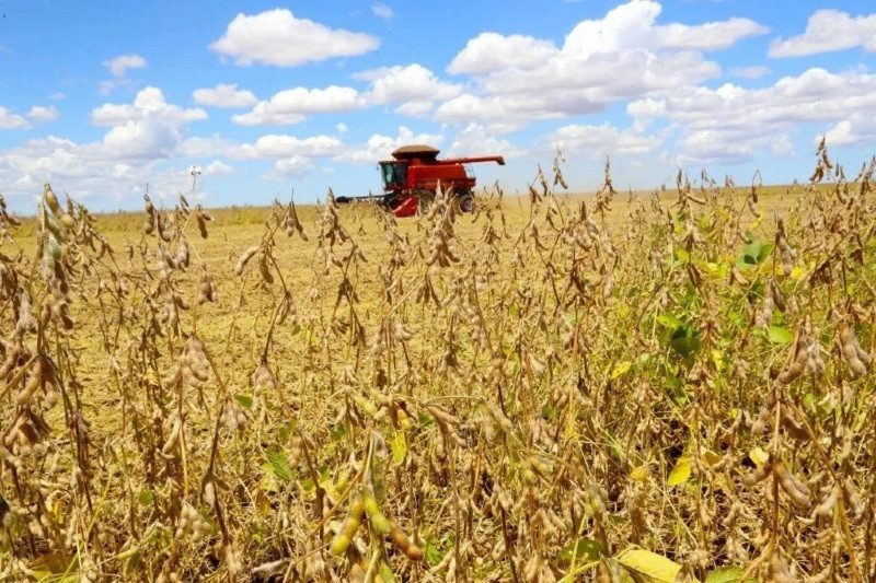 Juiz autoriza recuperação de grupo agro com dívida de R$ 151 milhões