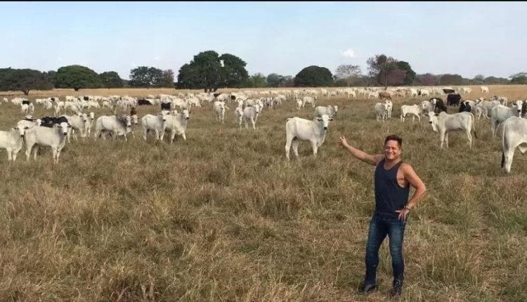 Leonardo impressiona ao mostrar quantas cabeças de gado ele tem em fazenda