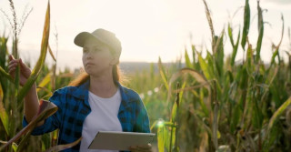 7 profissões para quem quer trabalhar no campo