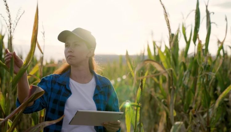 7 profissões para quem quer trabalhar no campo