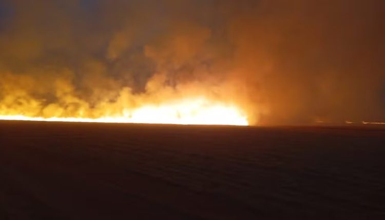 Focos de incêndio afetam canaviais entre jaboticabal e sertãozinho