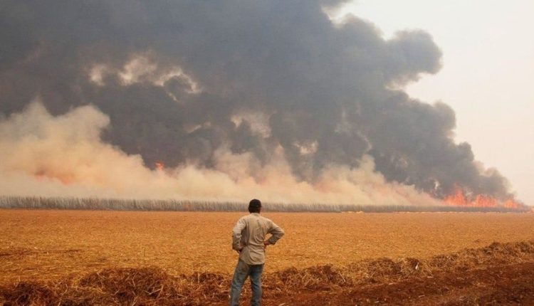 Perdas climáticas no agronegócio brasileiro ultrapassam R$ 6,6 Bilhões