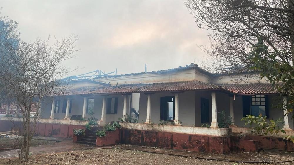 Após incêndios em SP, centro de Pesquisa em Bovinos de Corte do IZ manterá a Prova de Ganho de Peso e o leilão anual de touros e matrizes