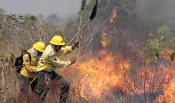 Decretos municipais de emergência por incêndios florestais aumentam 193% em 2024