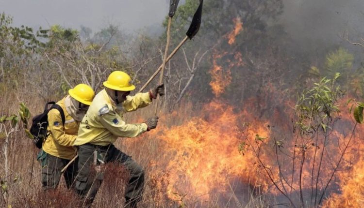 Decretos municipais de emergência por incêndios florestais aumentam 193% em 2024