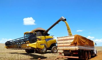 Paraná tem 35 municípios com VBP agro acima de R$ 1 bilhão