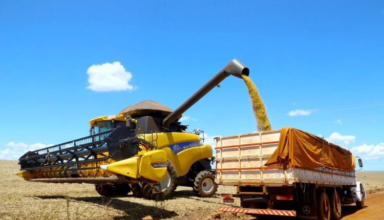 Paraná tem 35 municípios com VBP agro acima de R$ 1 bilhão