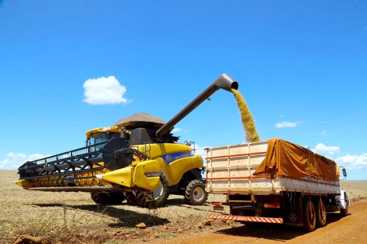 Paraná tem 35 municípios com VBP agro acima de R$ 1 bilhão